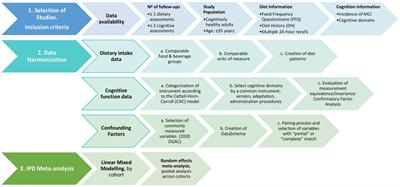 Diet patterns associated with cognitive decline: methods to harmonize data from European and US cohort studies
